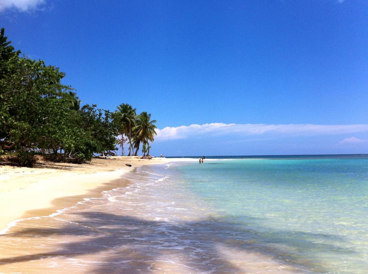 Caribbean Seaview Apart Malecon 聖多明哥 外观 照片